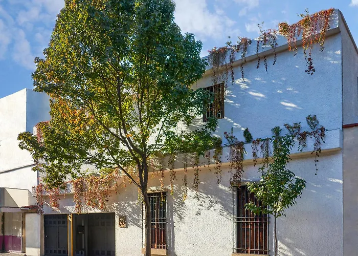 Pensión H21 Boutique